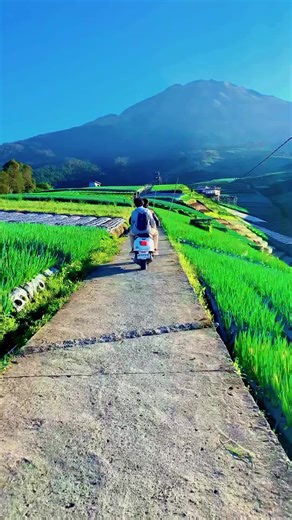 udah mau long weekend aja ni,up ulang yaa😁 #wisatamagelang #piknik #negrisayursukomakmur #silancurhighland #nepalvanjava_magelang #teraseringsitegong #wisatajogja #magelang24jam #sumbing3371mdpl #wisatagunung #wisatajateng #wisataborobudur #magelang