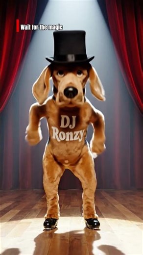 dog performaning magic on stage #magicdog #dog #animal