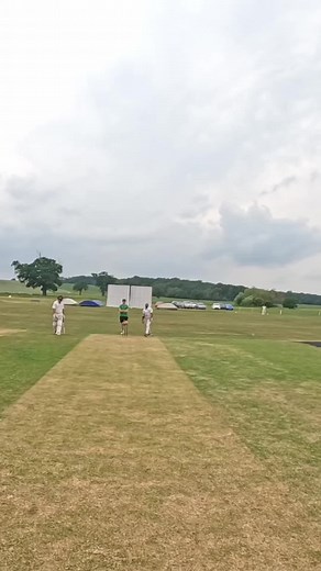 Mind the Windows Tino Compilation Cricket Meme