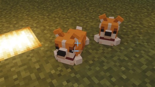 【mc模组介绍】有趣的小动物——Ambient Additions