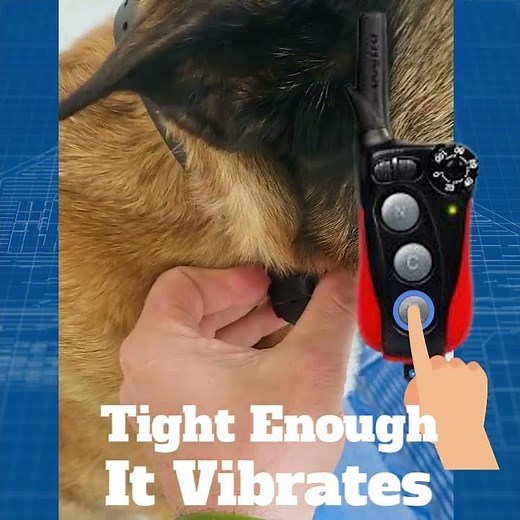 Dog E-Collar Troubles? Not Anymore! Top Troubleshooting Techniques