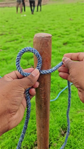 Idea Times (@idea_times25)’s videos with Electric Reverie - Webster Pouros