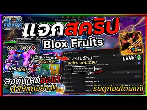 แจกสคริป Blox Fruits มือถือ อัปเดตใหม่ ออโต้ฟามมาส ลงดันเจี้ยนใหม่ ไปชั้นถัดไป ตีโคตรไว [ไม่มีคีย์]🔥