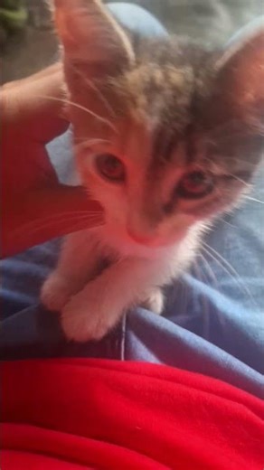 14 de febrero de 2026