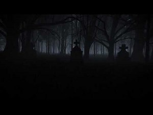 Dark Forest Video Footage - Dark Forest Strange Animation | Video 4K | Video HD