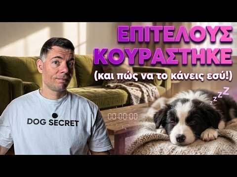 Πώς Eξουθενώνω (& Εκπαιδεύω) το Κουτάβι μου σε 10 Λεπτά