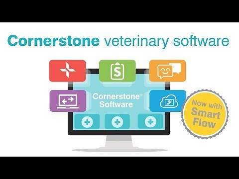 Cornerstone® Veterinary Software