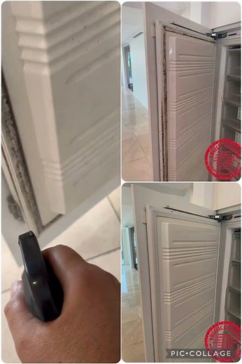 How to remove mould from fridge door seal ?