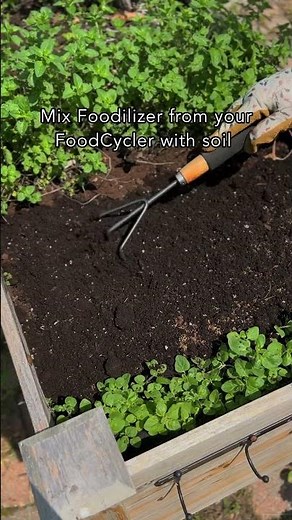 How to Create a Butterfly Garden