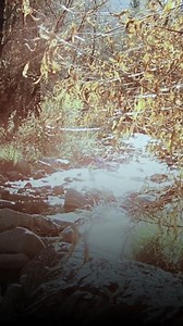 434K views · 12K reactions | There’s a whole bunch of people in this world you don’t know yet who’ll be your friends someday.”  Laura had a way of seeing the world—and friendship—that still sticks with us. Tag a friend who felt like they always belonged in your life. #BestFriendsDay | Little House on the Prairie | Facebook