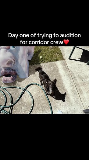 Auditioning for Corridor Crew: Day One AI Art