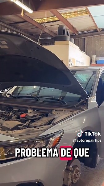 Live Highlights of Mechanic Car Repairs with Cats