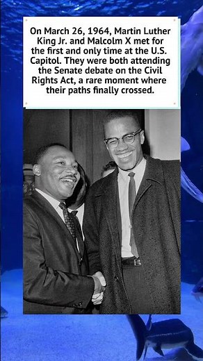 The Only Meeting: MLK and Malcolm X 1964 🤝