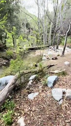 Exploring Switzer Falls Hiking Trail in Altadena/Pasadena