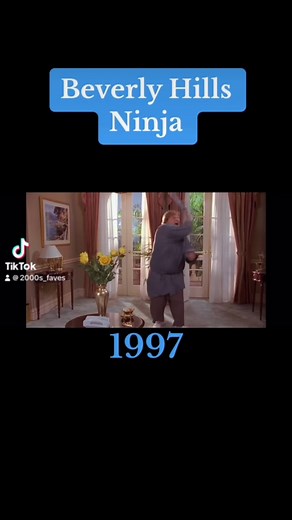 Beverly Hills Ninja 1997 #beverlyhillsninja #fyp #moviescene #clips #90sthrowback #90s #2000s #growingup90s