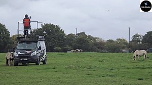 35K views · 491 reactions | Continuous flights , very low over the horse park! ... Heathrow Airport London ✈️❤️.... | Raj Aviation | Facebook