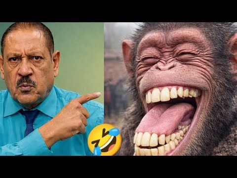 Funniest Videos Ever In The World | Funny Video Part 19 | Try Not To Laugh | Laugh With Nihal 🤣😂