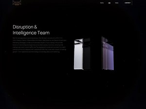 Disruption and Intelligence Team Page Glitch - Awwwards