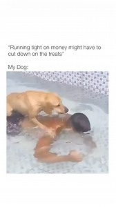 4.8K views · 42 reactions | Buddy will know better next time!  | Best Friend Quotes | Facebook