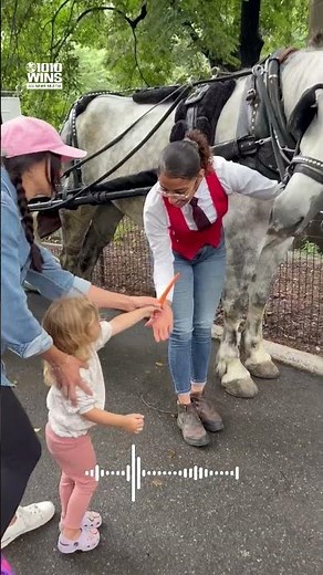 NYC Council hearing to decide fate of law banning horse-drawn carriages