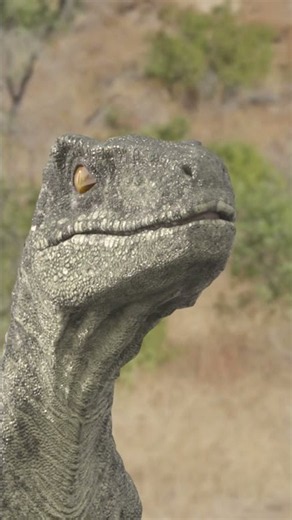 🦖 RAPTOR Surprise 🦕 #funny #shorts #forkids | 🦖🦕 #trex #dino #trexranch