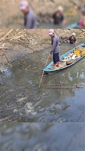 fishing fish - gặp cao thủ kích cá chích là nổi #kichca #xietca #fishingfish