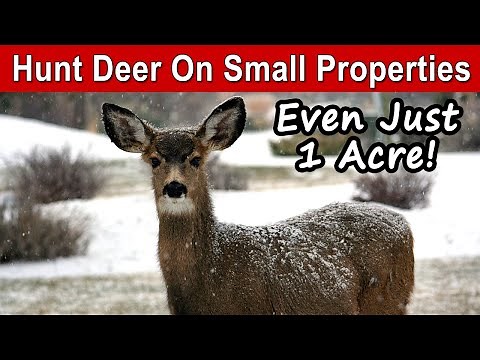 How To Hunt Deer On Small Properties | Strategies, Tactics, And Specialized Tips