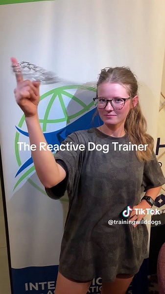 Will Dogtok Thrive with Balanced Dog Training?