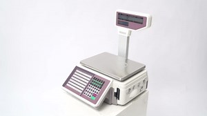 Label Printing Scale, 66Lbs Electronic Price Computing Scale with Pole Display Dual TD Thermal Label & Receipt Printer Commercial Barcode Scale for Supermarket Fruit Candy Snack Hot Pot Seafood Shops