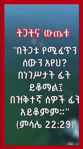 ትጋትና ውጤቱ #የመፅሐፍ ቅዱስ ታሪክ || Amharic Bible Story #biblestories #amharicbiblestory #amharicbible