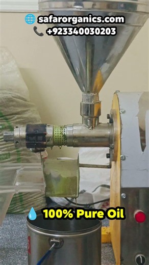 From Pumpkin Seeds to Pure Oil 🌱 Cold Press Extraction