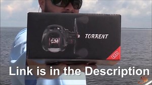 1.5K views · 14 reactions | We are having 23% OFF Lighting Deal on our Amazon.com Store. Go shop yours here: https://amzn.to/2tBqVHo | Piscifun | Facebook