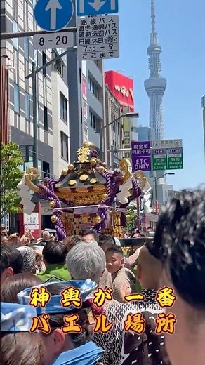 【三社祭2026】最高の特等席！雷門通りを行く浅草東町会の神輿とスカイツリーの超絶コラボ！ #shorts #お祭り #浅草