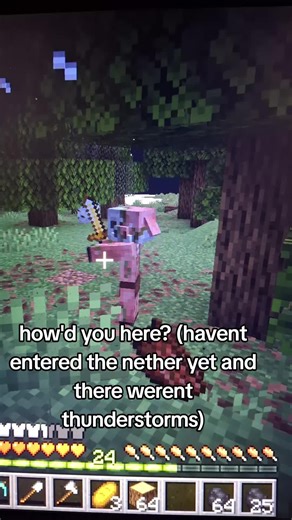 piglin in overworld #minecraft