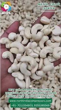 Best Color Sorter for Cashew | Dryfruits Sorting with MEYER Color Sorter | Best Sortex for Dryfruits