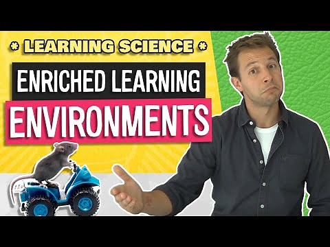 Learning Environments in the Classroom | New Research