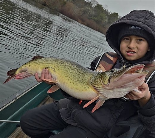 Cape Cod Fishing Report- January 2026 - On The Water