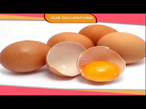 OUR OCCUPATIONS class-3