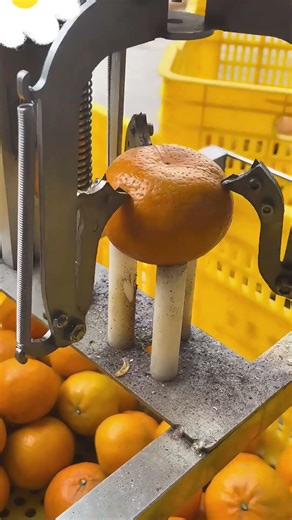 Automatic Orange Peeling Machine #OopsBros