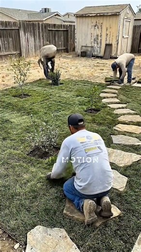 Hot Backyard Turned Into a Cool Shaded Garden | Calm Step-by-Step Renovation