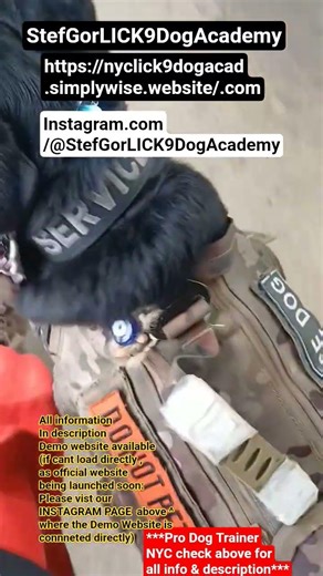 2SD Subway #dogtrainer #nyc #dogs #puppy #servicedog #health #training #facts #life #love #fun #art