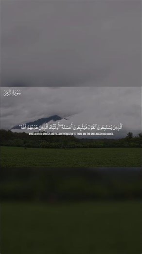 Beautiful Quran Recitation Surah Az-Zumar (39) Ayah (73-74) #QuranRecitation #Peace