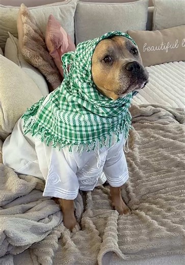 Bon Ramadan à tous ! Humour et Respect