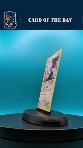 Minccino - #pokemon #pokemontcg #pokemoncards #bigdotescards