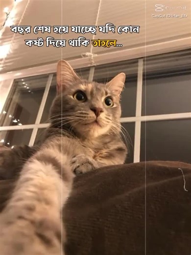 pooki girl (@pooki.girl17)’s videos with original sound - pooki girl