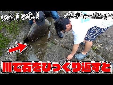 I came to the river next to the campsite to do some easy fishing called chubbing, but...