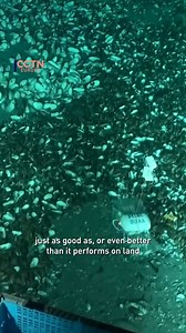 A team of researchers from Beihang University have developed a miniature deep-sea morphable robot that can swim, glide, morph, and crawl - even at the Mariana Trench's extreme depth of 10,666 meters! #DeepSea #Robotics #Innovation #MarianaTrench #ScienceBreakthrough | CGTNEurope