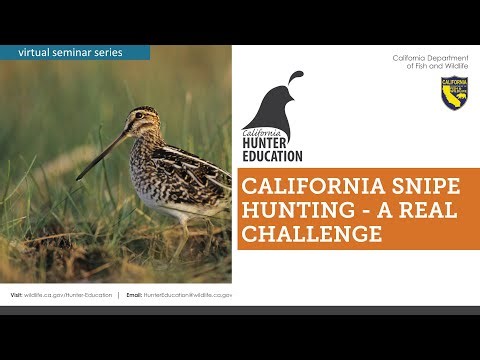 AHE 2022 - Webinar #27 - California Snipe Hunting - A REAL Challenge