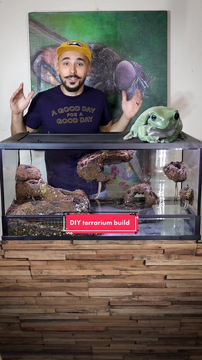 DIY Terrarium Build for Frogs and Salamanders