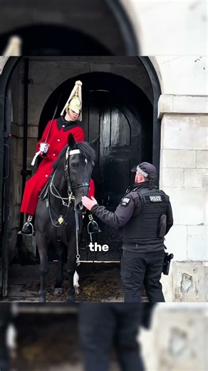 Emergency Button Pressed 3 Times… Still No Help